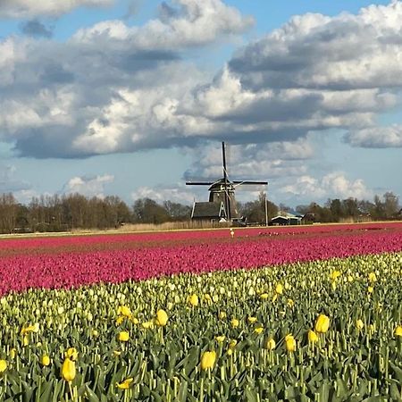 N 9Strandnahes, Hunde-Familienfreundliches Ferienhaus Callantsoog Buitenkant foto
