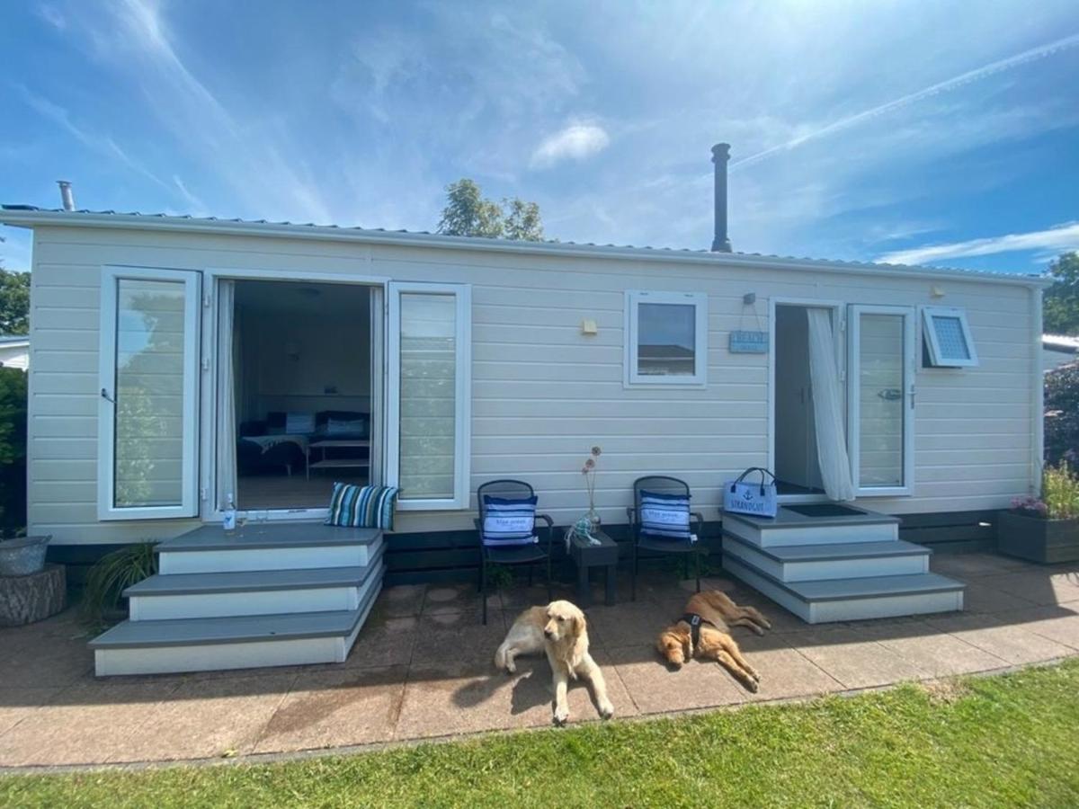 N 9Strandnahes, Hunde-Familienfreundliches Ferienhaus Callantsoog Buitenkant foto
