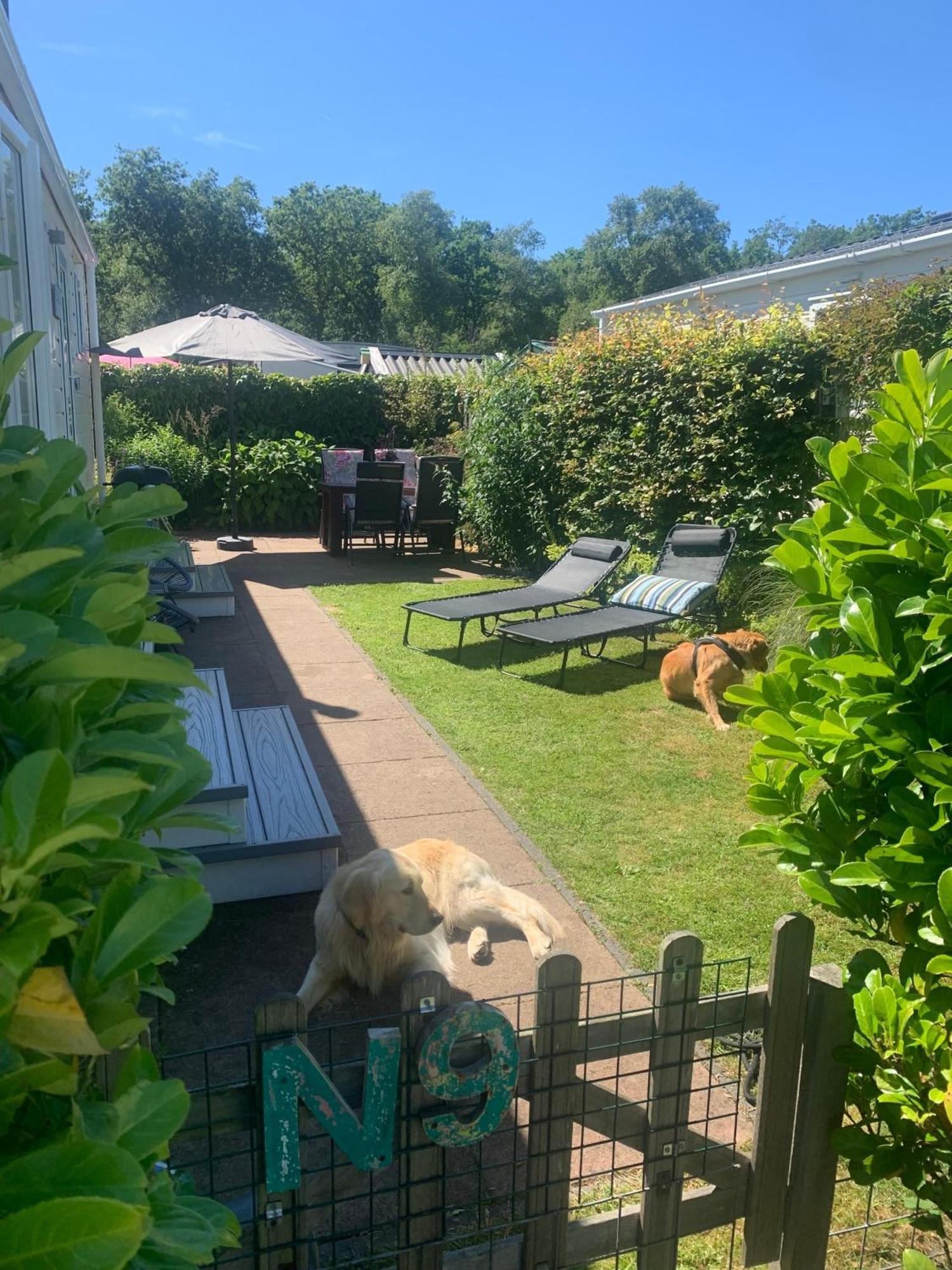 N 9Strandnahes, Hunde-Familienfreundliches Ferienhaus Callantsoog Buitenkant foto