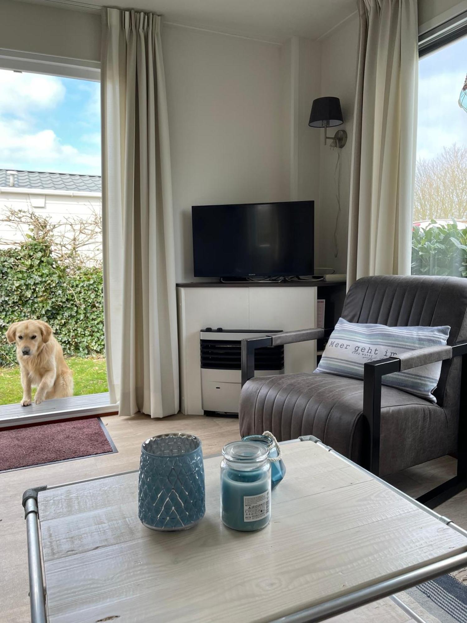 N 9Strandnahes, Hunde-Familienfreundliches Ferienhaus Callantsoog Buitenkant foto
