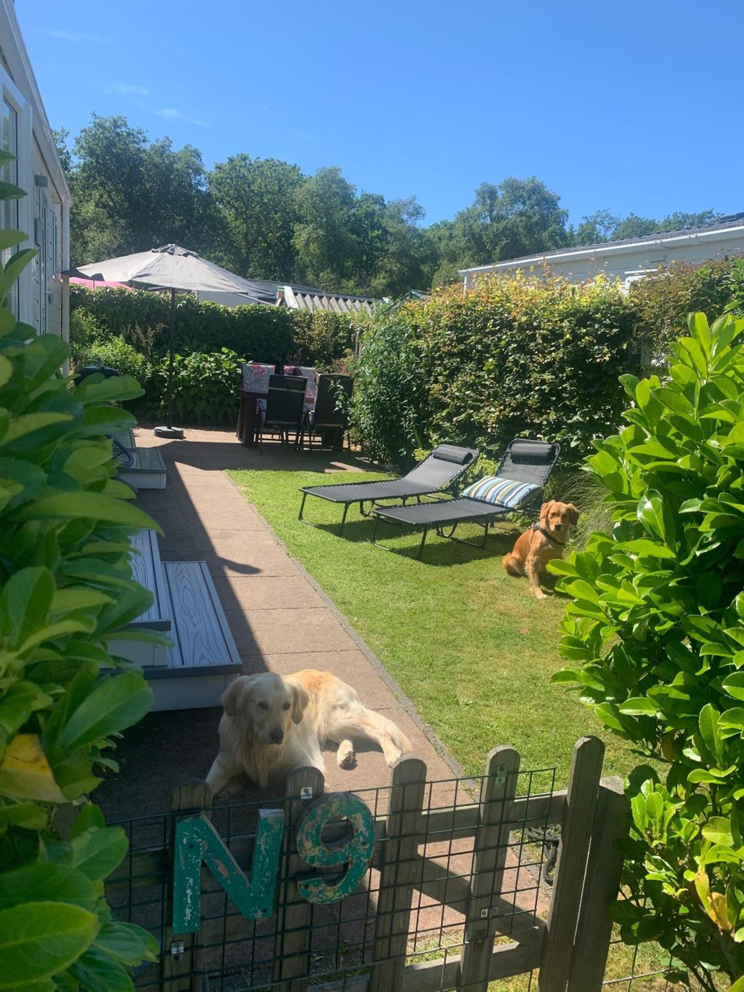 N 9Strandnahes, Hunde-Familienfreundliches Ferienhaus Callantsoog Buitenkant foto