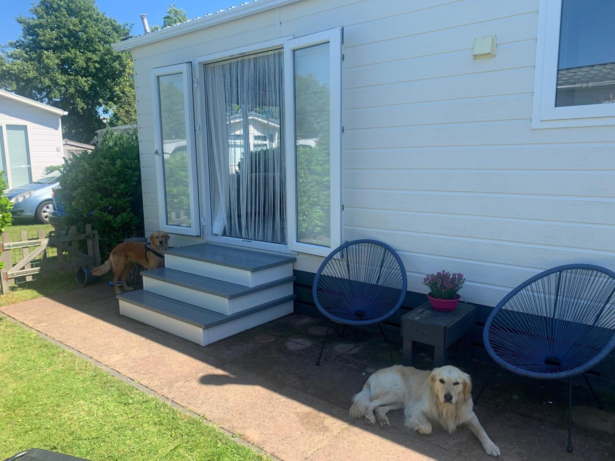 N 9Strandnahes, Hunde-Familienfreundliches Ferienhaus Callantsoog Buitenkant foto